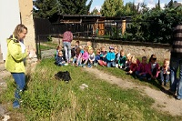 Kindergartenbesuch in der Muschelgrotte