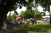 Picknick unter der Eiche