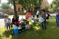 Picknick unter der Eiche