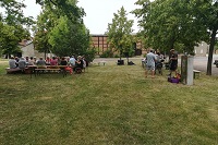 Picknick unter der Eiche